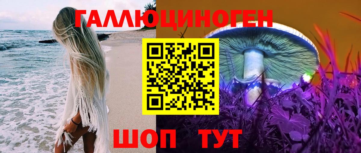 Галлюциногенные грибы Cubensis  Псилоцибиновые грибы GOLDEN TEACHER  Сызрань  Вход с VPN 