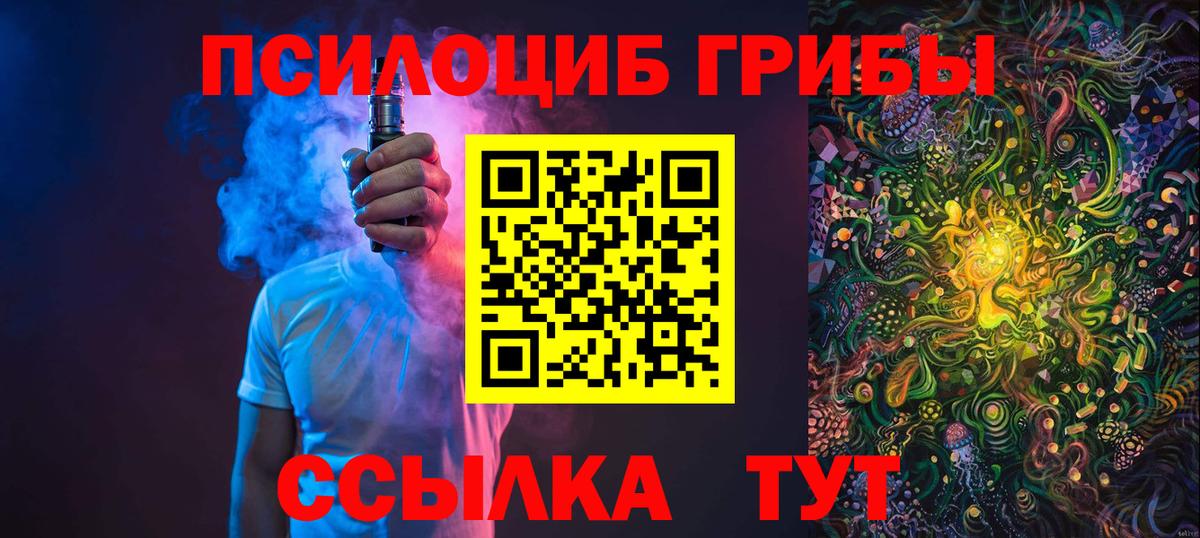 Псилоцибиновые грибы Cubensis Сызрань